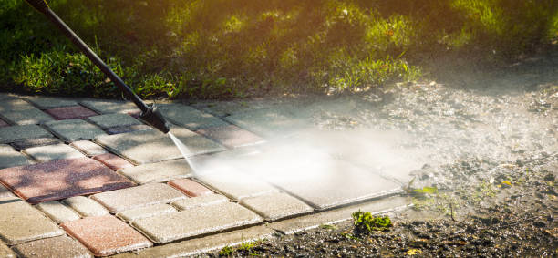 Best Driveway Pressure Washing  in La Porte City, IA